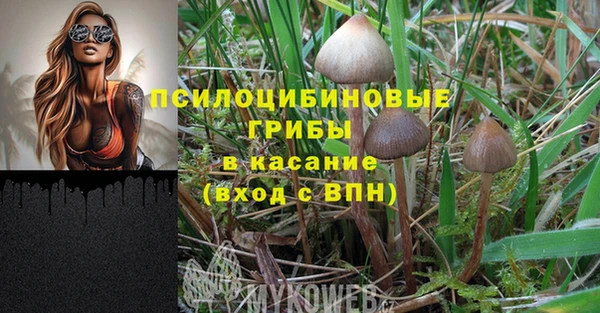 мяу мяу мука Белоозёрский