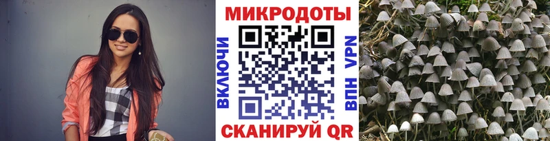 Псилоцибиновые грибы прущие грибы  kraken зеркало  Болотное 