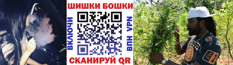 Шишки марихуана OG Kush Болотное